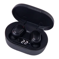 Earbuds